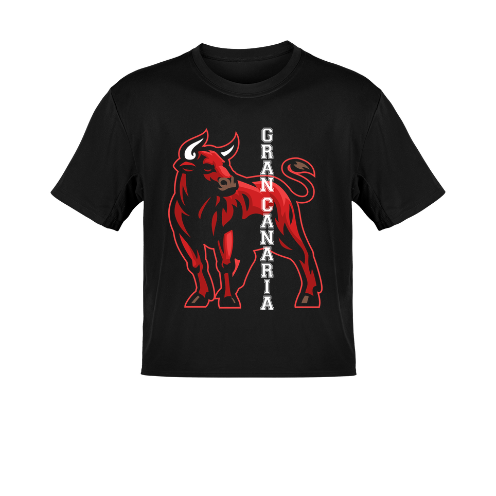 Camiseta Toro España